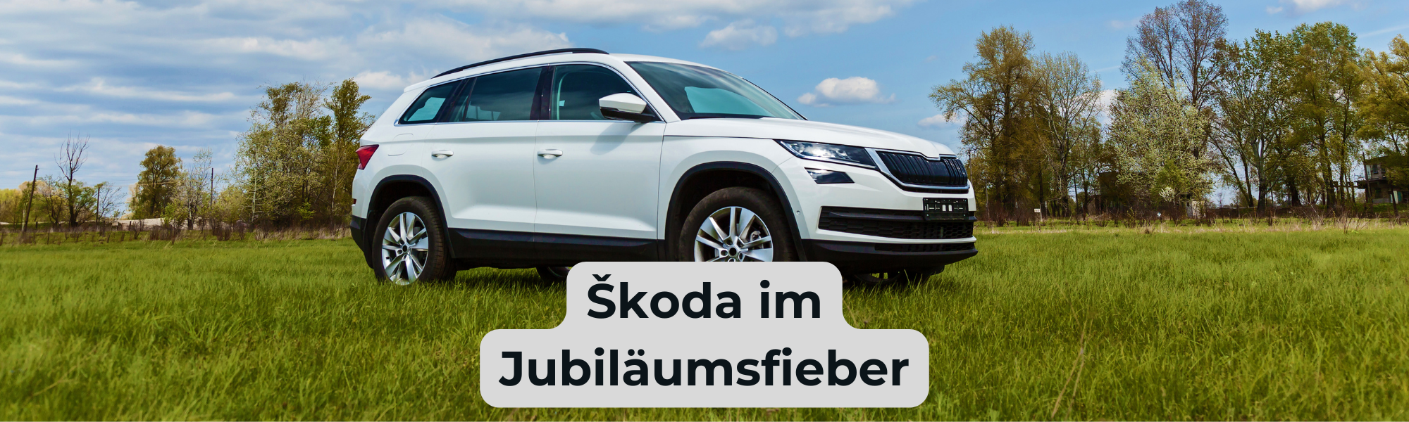 Banner Skoda Jubiläum